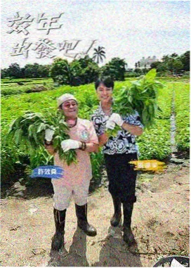 极限挑战-综艺在线观看